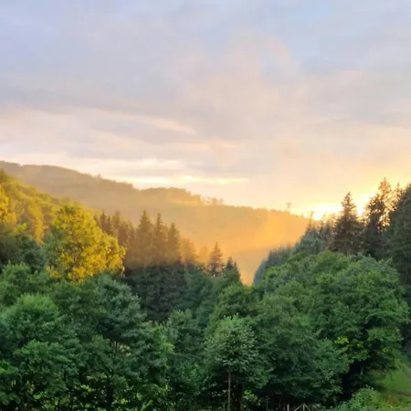 Apartmán Valley Mit Sauna U Bergblick Bestwig