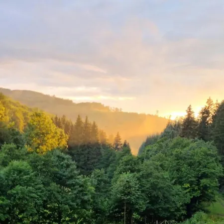 Valley Mit Sauna U Bergblick * Bestwig