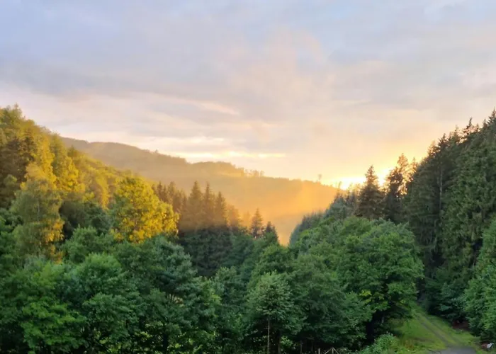 Lejlighed Valley Mit Sauna U Bergblick Bestwig